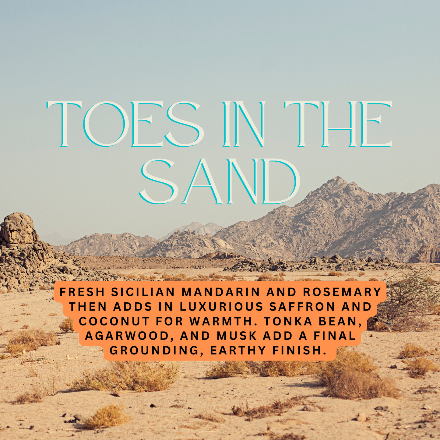 Toes in the Sand