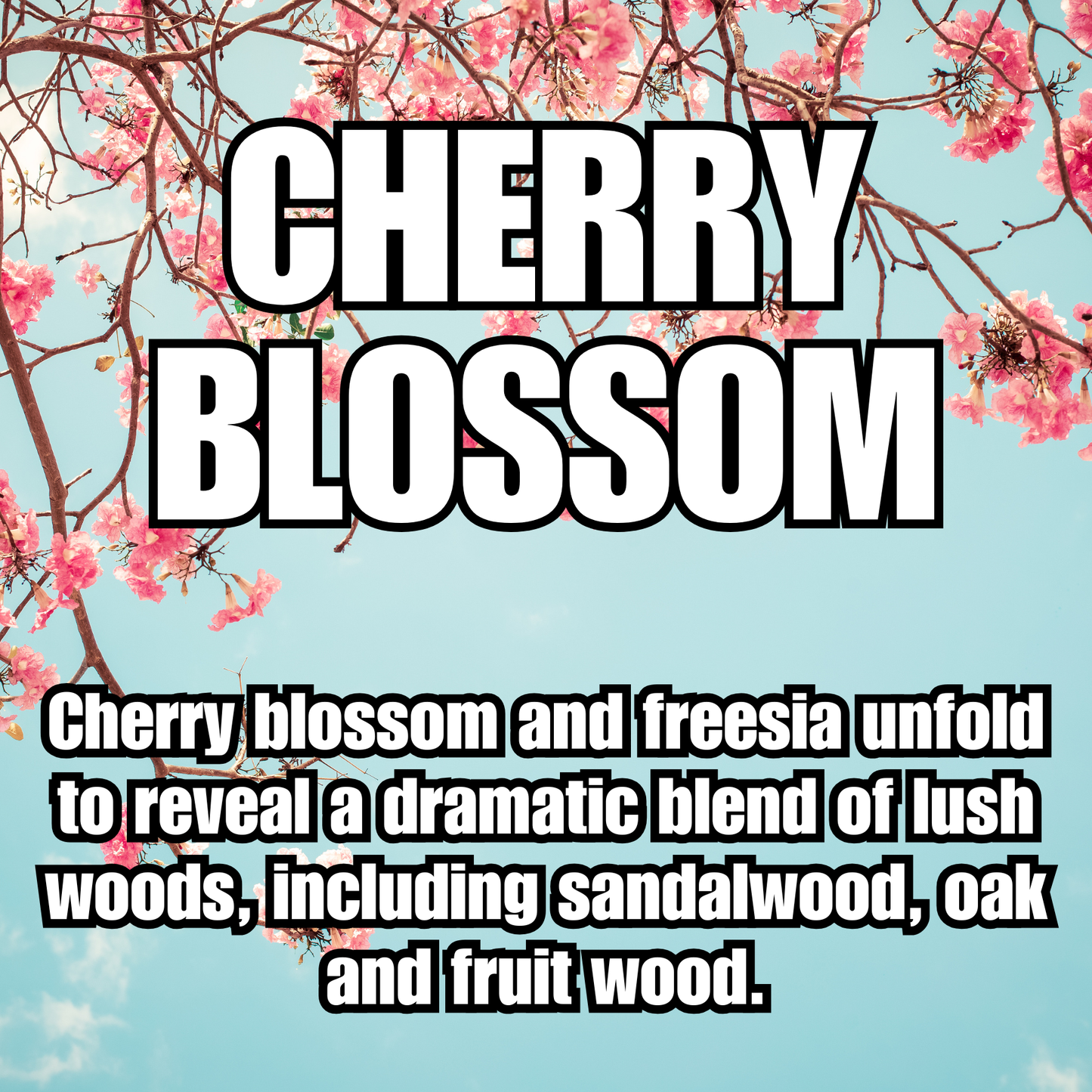 Cherry Blossom